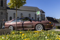 Auswintern_2026