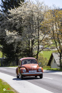 LJ1A2912