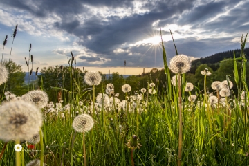 MG_5935-HDR
