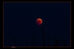 Blutmond 