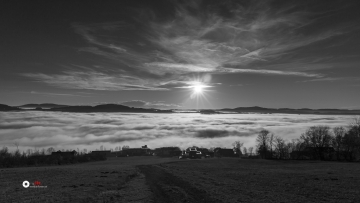 _MG_3695-2