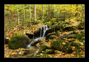 Weißenbach im Herbst