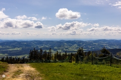 Hochficht