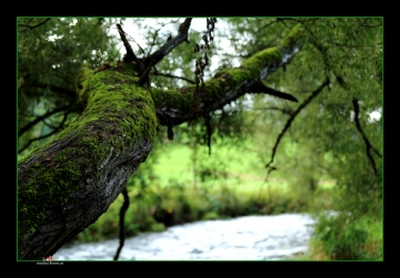 Blick in die Natur