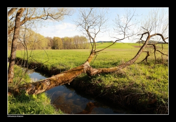 Wehrgraben