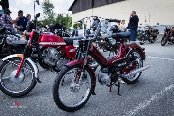 _MG_1939