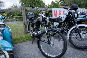 _MG_1948