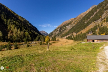 MG_7842