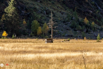 MG_7854
