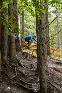 LJ1A4352