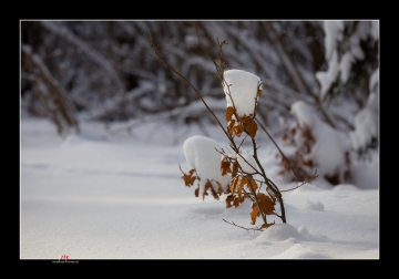 Schneesoldat II