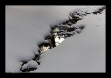 Spiegelung im Schnee