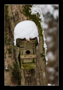 altes Haus im Schnee